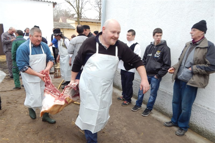 V. Hagyományőrző Falusi Disznóvágás