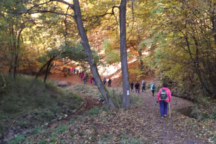 Hétvégi barangolás a Mecsekben