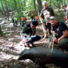 Csongrádon és Bujákon versenyeztek a Koppányok