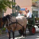 Ünnepi szentmisén szentelték meg Félegyházán az Új Kenyeret