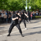 A Zöld nap évről-évre a legnagyobb buli