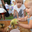 Örültek a simogató pici kezeknek