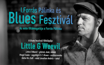 I. Forrás Pálinka és Blues Fesztivál