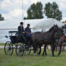 Fogathajtó versenyt rendeztek a Vasas Pályán