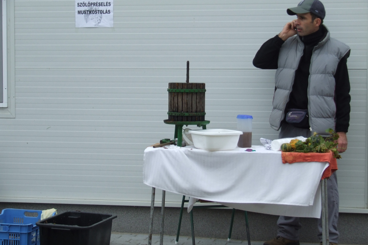 Mezgé Suli Piknik a Tangazdaságban