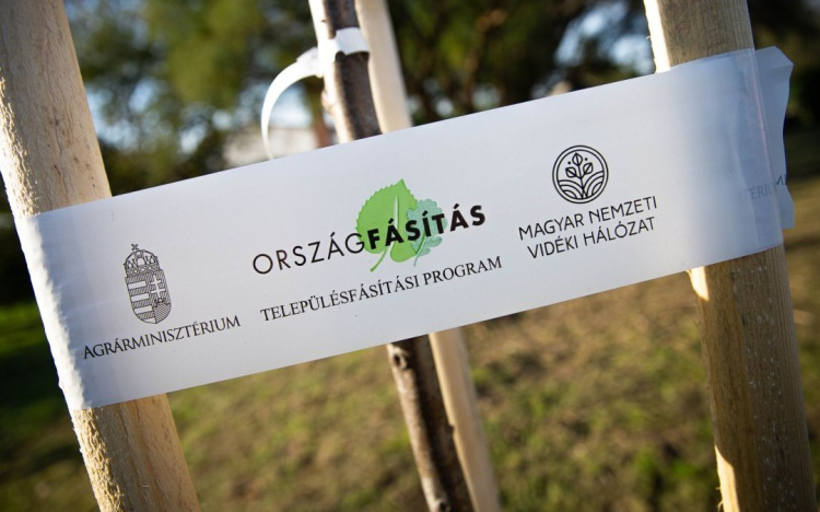 Elindult a Településfásítási Program negyedik üteme!