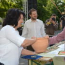 Átadták a Virágos Félgyházáért díjakat