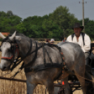 Arató fesztivál Haleszban