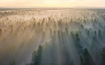 A héten is folytatódik a párás, borult idő