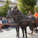 Szüreti felvonulás 2017.