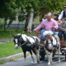 Szüreti felvonulás II.