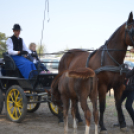 A Mezgés Pikniknek változatlan sikere van évről-évre