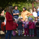 Fák és Madarak Napja a Százszorszép Óvodában