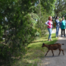 Gyermeknap a Tangazdaságban