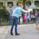 Kutyasuli a libafesztiválon