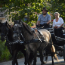 Felvonulással vette kezdetét a belvárosi lovas ünnep