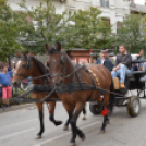 Szüreti felvonulás 2018.