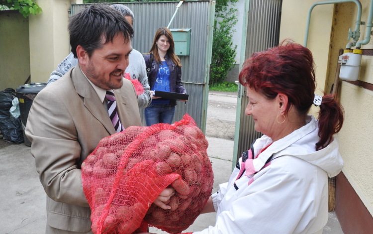 2,5 tonna vetőburgonya 50 családnak