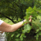 Hétvégi kiruccanás a Szarvasi Arborétum vadregényes tájain