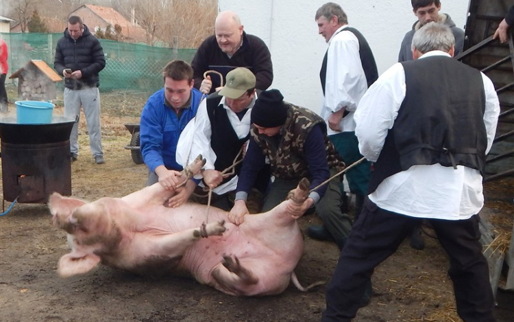 Öt disznóból készült a lakoma Petőfiszálláson