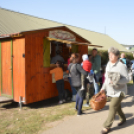 Tömegeket vonzott a Mezgé Piknik