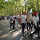 A Zöld nap évről-évre a legnagyobb buli