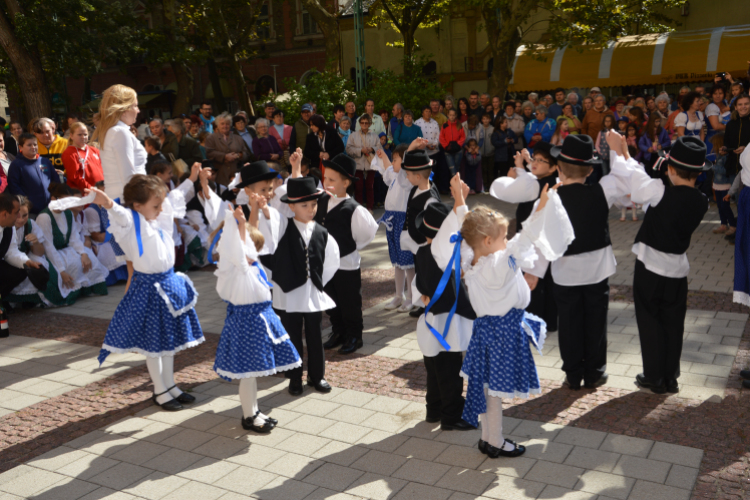 Szüreti felvonulás 2017.