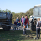 Tömegeket vonzott a Mezgé Piknik