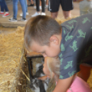 Óriási látogatottsága volt a IX. Mezgé Pikniknek