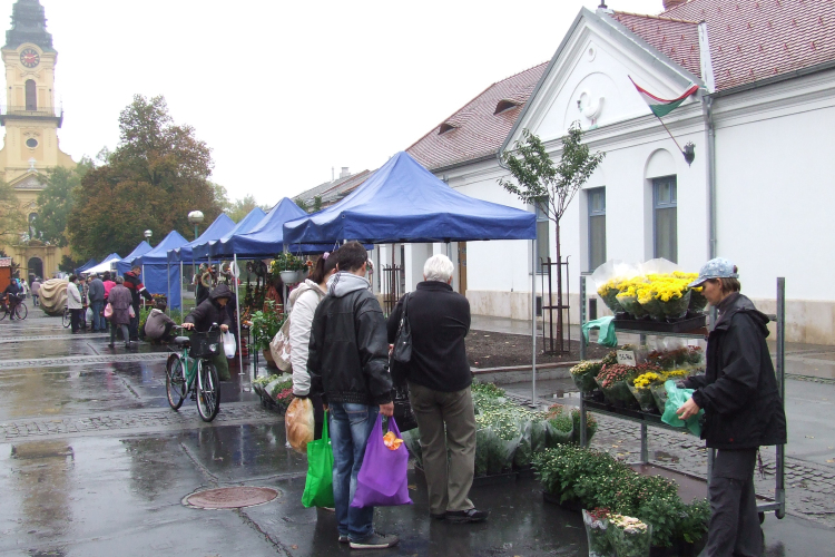 Virágba borult a Béke tér