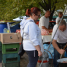 Ki mit főz a libából?