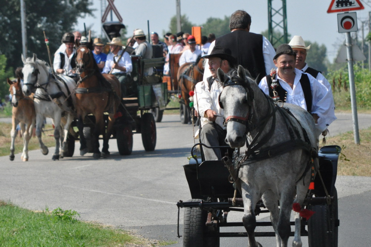 Arató fesztivál Haleszban