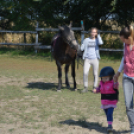 A mezgések mindig megadják a módját a pikniknek