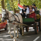 Szüreti felvonulás 2017.