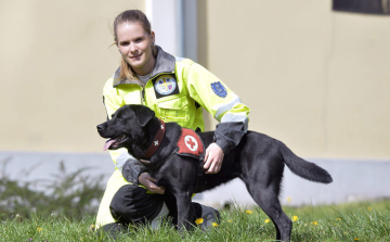 Magyar mentőkutya a világ legjobbjai között