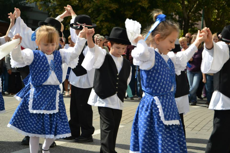 Szüreti felvonulás II.