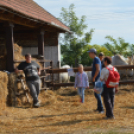 Tökéletes családi kikapcsolódást nyújtott a Mezgés Piknik