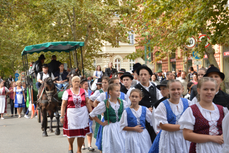 Szüreti felvonulás 2018.