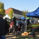 Színes virág kavalkád az őszi virágünnepen