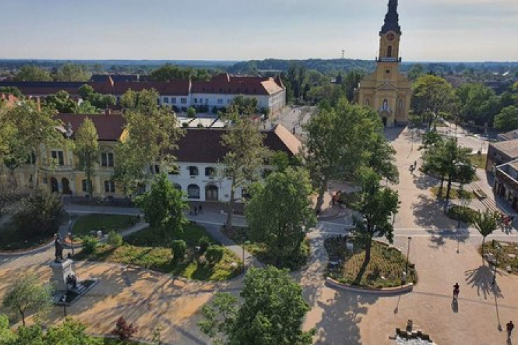 Főtéri platánfák növényvédelmi permetezése