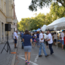 Nem győzte a zsűri kóstolni a libaételeket