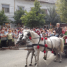 Szüreti felvonulás, borszentelés és bál Kiskunfélegyházán