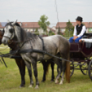 Kiskunfélegyházi Fogathajtó Verseny