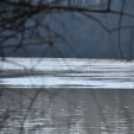 Árad a Tisza Tőserdőnél