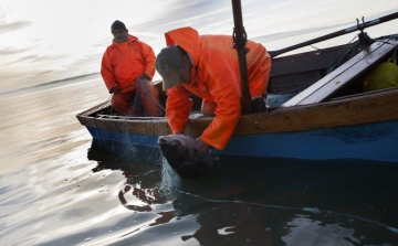 Büntetik a jó horgászokat a Balatonnál 