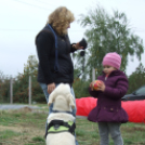 Mezgé Suli Piknik a Tangazdaságban