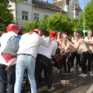 A Zöld nap évről-évre a legnagyobb buli