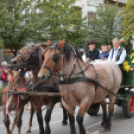 Szüreti felvonulás 2018.