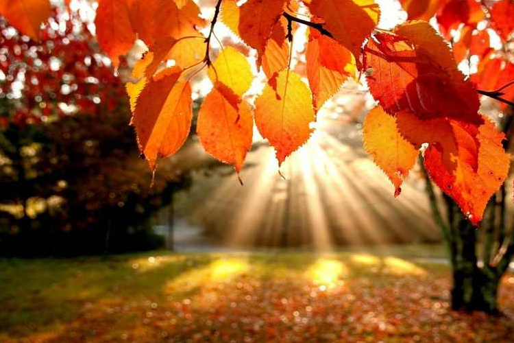 Akár 20 fok is lehet holnap