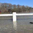 Árad a Tisza Tőserdőnél